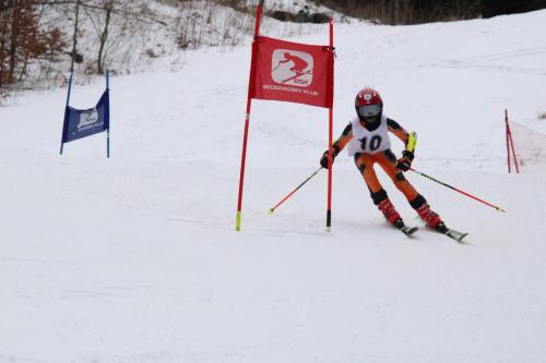 IMG 9873