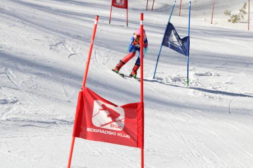 IMG 1219