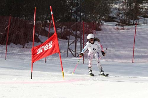 IMG 5920